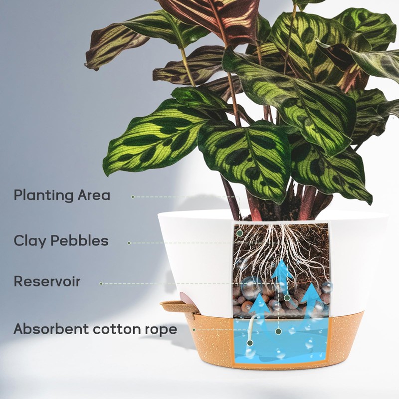 FIASON 12-Inch Self Watering Planters with Drainage Holes, Large Flower