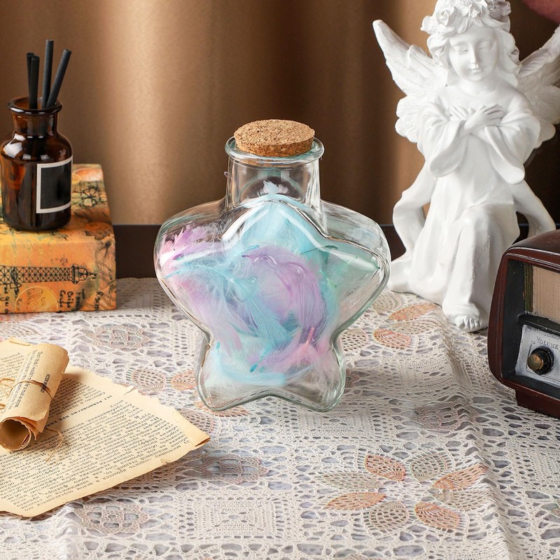 WHJY 29oz Star Shaped Glass Jar with Cork Lid for