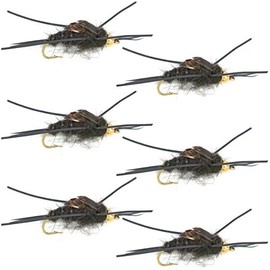 The Fly Fishing Place Tungsten Bead Head Nymph Fly Fishing Flies - Kaufmann's Black Stone Fly with Rubber Legs - Stonefly Wet Fly - 6 Flies Hook Size 8