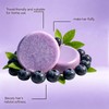 Blueberry Fields Shampoo & Conditioner Bar Set, Solid Hair Wash