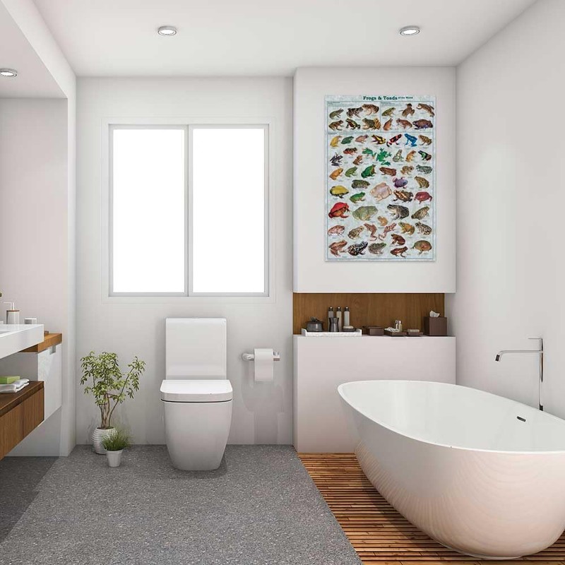 Frogs & Toads of the World Educational Poster 24 x