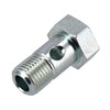 Set: Ring Hose Nipple with Hollow Screw, Hose Connector Diameter