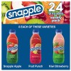 Snapple Juice Drink Variety Pack, 24 pk./20 fl. oz. NO