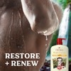 Old Spice Men's Body Wash Moisturize with Shea Butter, 30