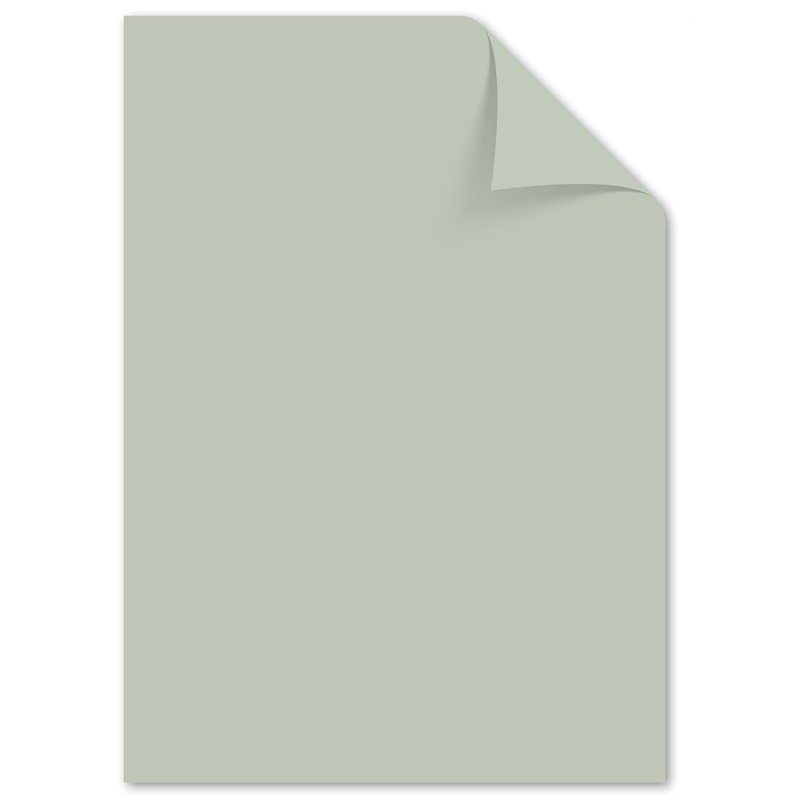 Kangaro - Coloured Paper Pastel Grey DIN A4 120 g/m²