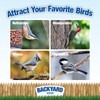 Backyard Seeds Peanut Hearts for Wild Birds 10 Pounds