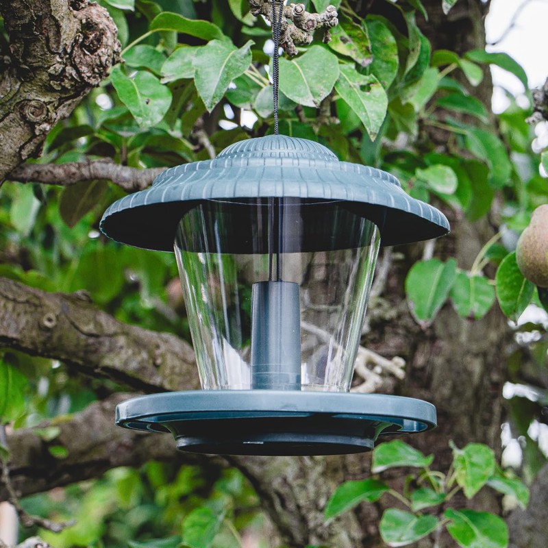 Hanging Bird Feeder House, Round Plastic, Bird Feeder with Crumb