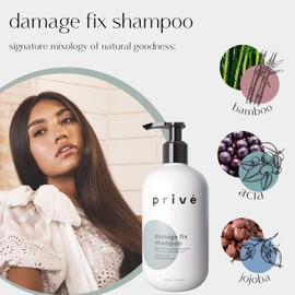 Damage Fix Shampoo - Repair and Strengthen Damaged, Dull or Over Processed Hair from Within - Natural Ingredients - Vegan Cruelty-Free Colour-Safe Shampoo (12 oz / 356 ml)