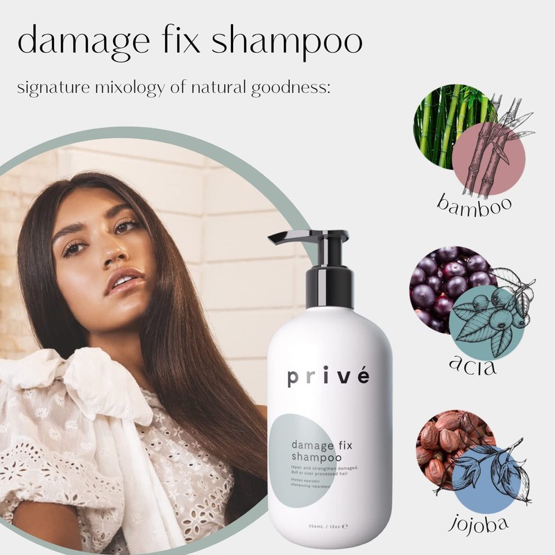 Damage Fix Shampoo - Repair and Strengthen Damaged, Dull or