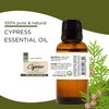 GreenHealth - 5 ml Cypress Essential Oil - 100% Pure