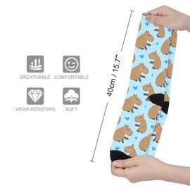 BAIKUTOUAN Capybara Daydream Color Matching Boot Socks Over The Calf Tube Knee High Long, One Size, Capybara Daydream, One Size