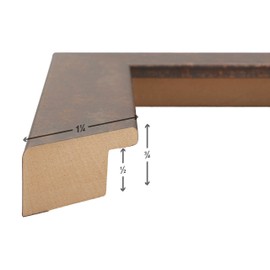 Craig Frames Bauhaus 125, 16 x 20 Inch Rust Picture Frame Matted to Display a 11 x 14 Inch Photo