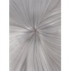 OSIAS 2B Wig Silver Thick Short Heat Resistant Hair