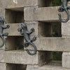 Chas Bete Gecko Coat Hooks Wall Coat Hooks 17 cm