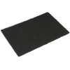 ABENA Scourer, 22.5x15x0.8cm, Black, Nylon/Polyester, Rough scouring Effect, 22.5 x
