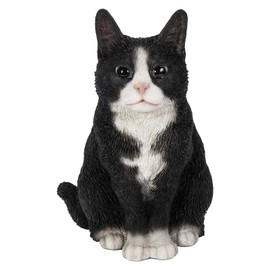 Vivid Arts Sitting Cats (Black/White Cat)