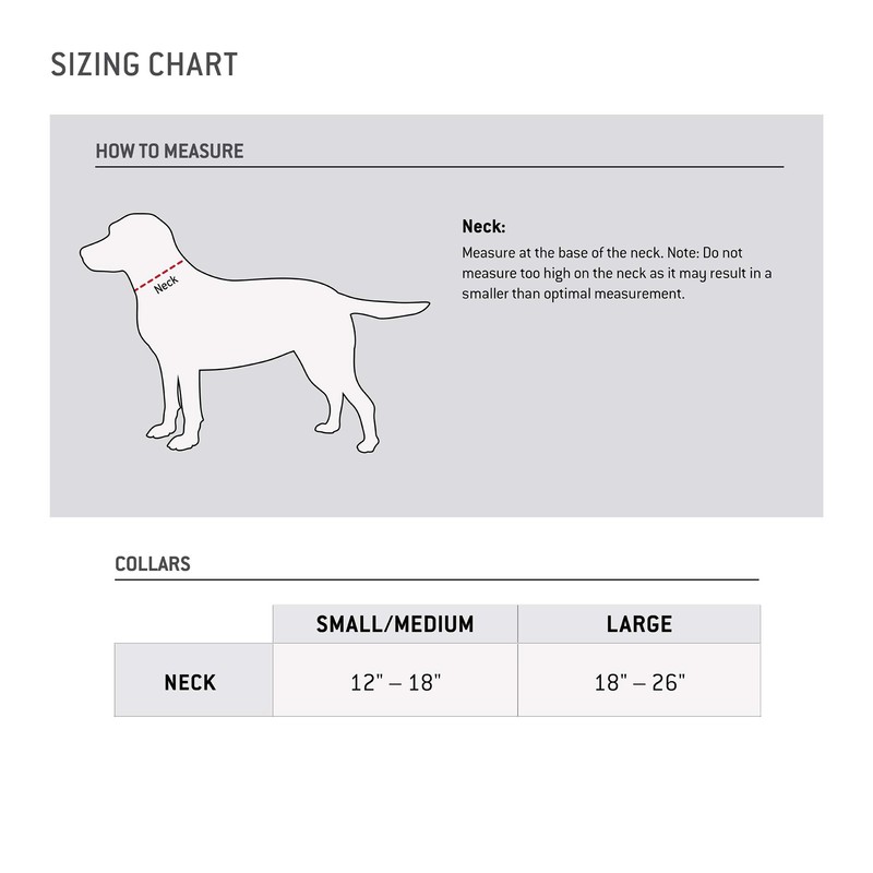 Carhartt Carhartt Nylon Duck Dog Collar Carhartt Brown/Dark Brown Large