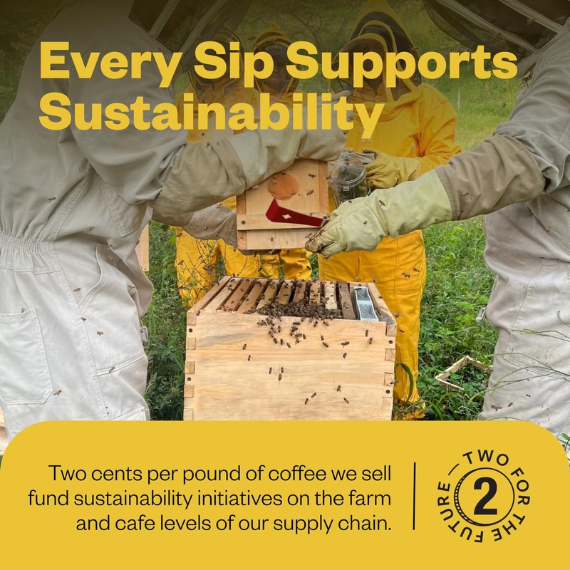 Counter Culture - Roast Packs (2 Bags, Medium Roast)