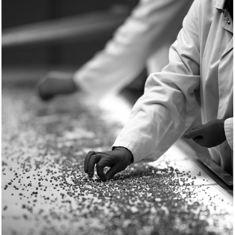 Dammann Herbal Tea Chamomile Loose 200 g