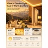 Gold Yellow COB LED Strip Light 24V,16.4FT Dotless Light (Without