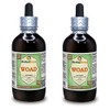 Woad (Isatis Indigotica) Glycerite, Dried Leaves Alcohol-Free Liquid Extract (Brand
