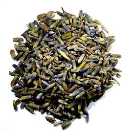 Nelson's Tea, Lavender (Lavendula x intermedia) (1 oz.)