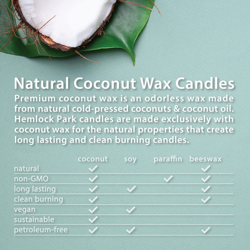 Hemlock Park Crackling Wood Wick Candle Handcrafted with Natural Coconut