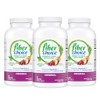 Fiber Choice Assorted Fruit 90 Tablets (Pack of 3) |