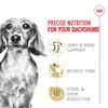 Royal Canin Dachshund Adult Breed Specific Dry Dog Food, 2.5