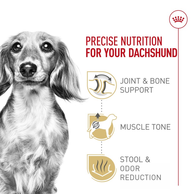 Royal Canin Dachshund Adult Breed Specific Dry Dog Food, 2.5