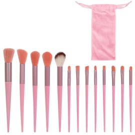 Bagentry 13 Pcs Professional Makeup Brushes Set with Bag, Complete Function Portable Make Up Brushes, Foundation Powder Concealers Eye Shadows Lip Cosmetic Brushes for Enthusiasts (Pink)