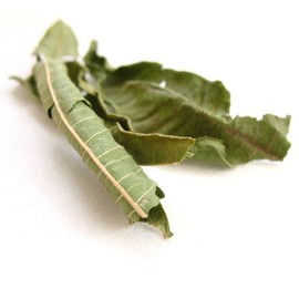Loose Leaf Verbena Infusion /Herbal Tea- 20g