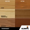 Olympic WaterGuard 1 gal. Acorn Brown Transparent Wood Stain and