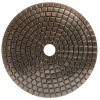 Alpha 4" Alpha Ceramica EX Diamond Polishing Pad - 2000