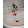 Plunger - Fix blocked drains and sinks with our Big