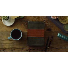 ESV Study Bible, Personal Size (TruTone, Forest/Tan, Trail Design)