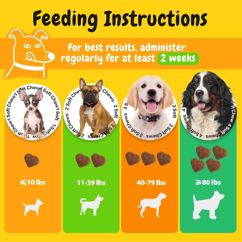 PENPEN Probiotics for Dogs, Dogs Probiotics for Digestive Health, Multi-Probiotic
