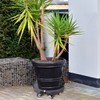 TreeGun Plant Caddy with Wheels Heavy Duty with 8 Lockable
