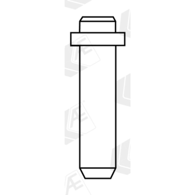 AE VAG96041B Engine Valve Guide