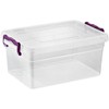 Best House Plastic Storage Box with Lids - Pack of