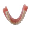 REINERDENT3 Denture Cleaner
