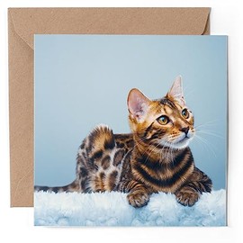 1 x Greeting Card - Cute Bengal Cat Kitten Cats - Blank Birthday Celebration Anniversary #50642