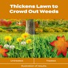 Scotts Turf Builder WinterGuard Fall Weed & Feed3, Weed Killer