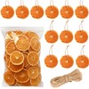50 Pcs Dried Orange Slices, with 50Pcs Hemp Rope, Christmas