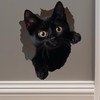 Black Cat Decal - Wall Hole Sticker with 3D Effect
