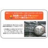 DIO FLAT Driven Face 2-Way Torque Cam Racing Face Pulley