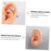 Beavorty Ear Models 2 Pack Fake Ears for Piercing Practice