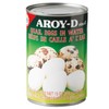 Aroy-d CAN Food plus Ninechef Long Handle Spoon (Quail Eggs,