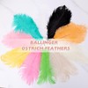 VONMXVTE 24pcs White Ostrich Feathers 10-12inch (25-30cm) for Wedding Flower