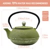 SECHUDO Cast Iron Teapot Tea Kettle with Stainless Steel Infuser